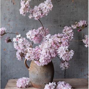 🌸 Thank you! 🌸